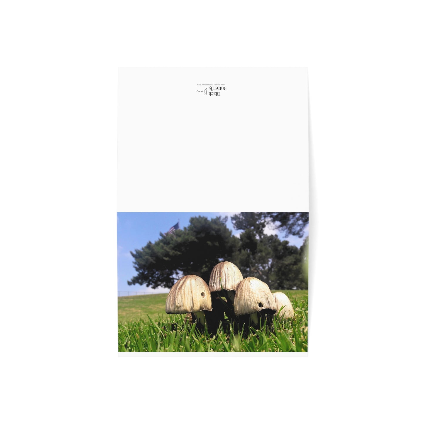 Mushroom Original Photo Print Blank Greeting Cards (1, 10, 30, and 50pcs) Nature Lover Art Card Thank You Notes Thinking of You Custom Greetings